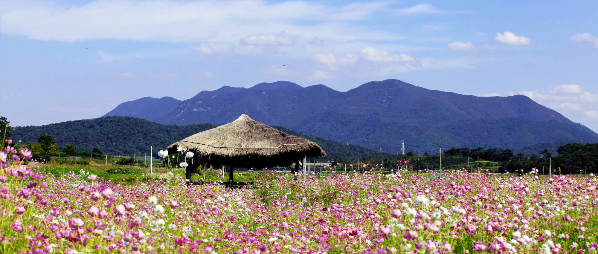 슬라이드 이미지 3