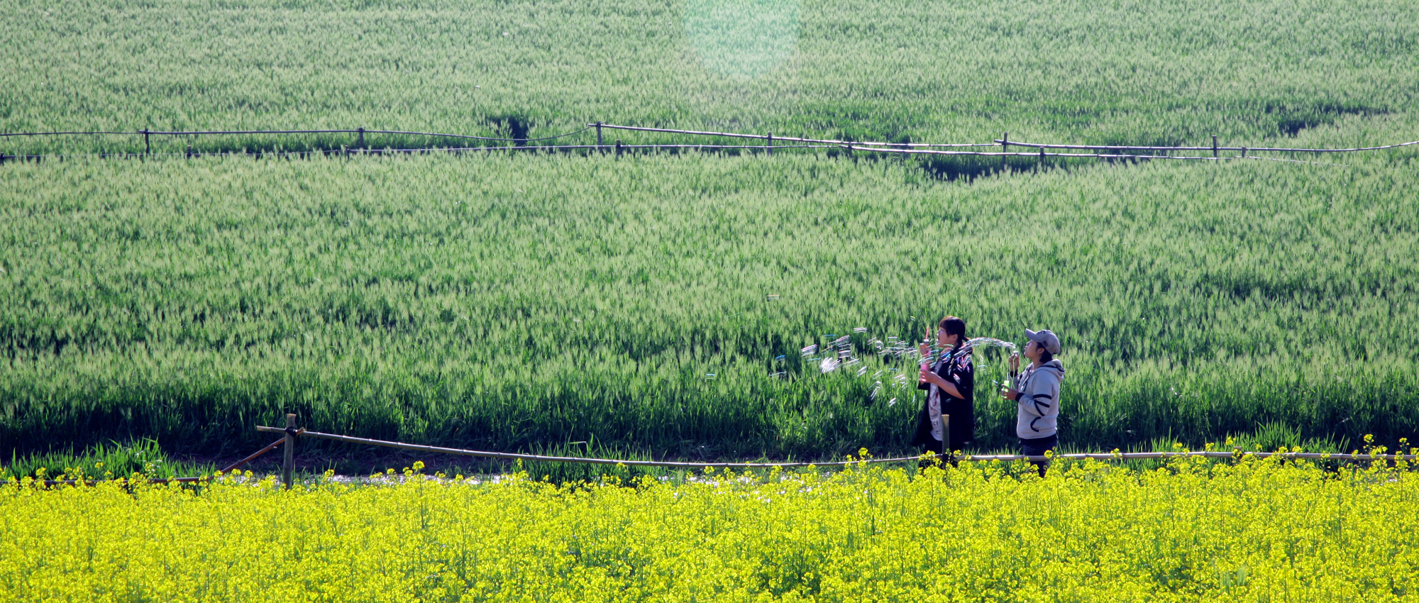 슬라이드 이미지 4